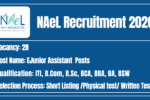 NAeL Recruitment 2026